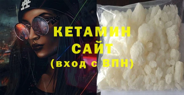 прущие грибы Коряжма