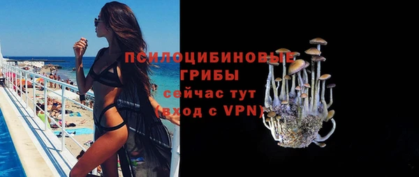 МДПВ Красноперекопск