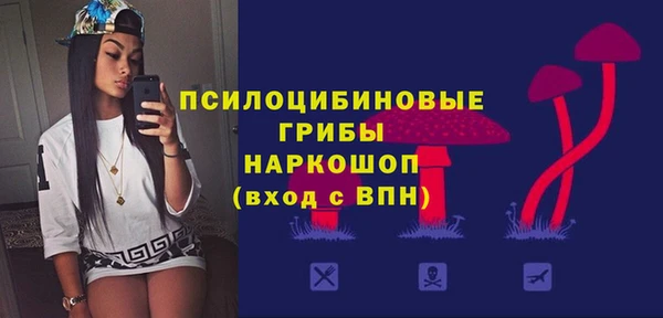 прущие грибы Коряжма