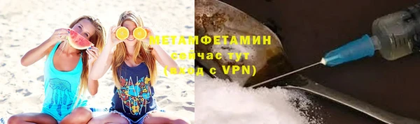 прущие грибы Коряжма