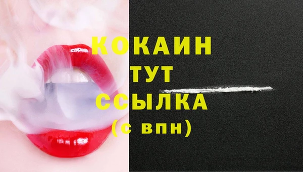 прущие грибы Коряжма
