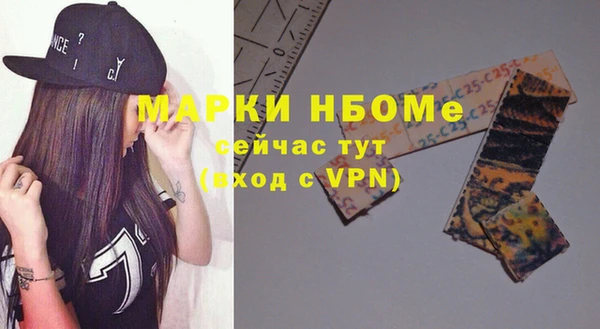 прущие грибы Коряжма