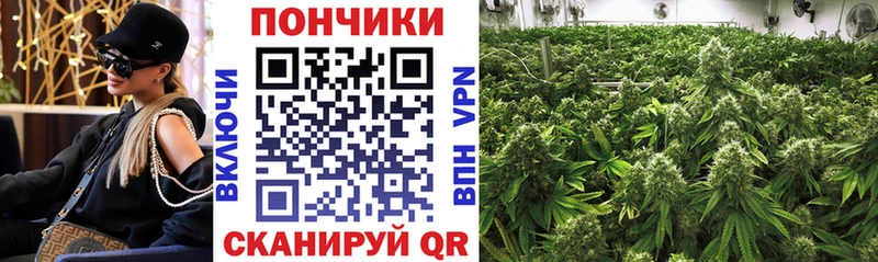 Шишки марихуана Bruce Banner  Ноябрьск 